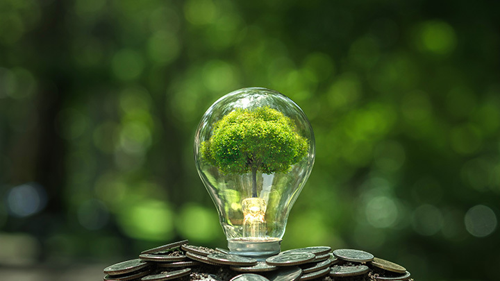 Lightbulb on pile of coins with a tree inside it