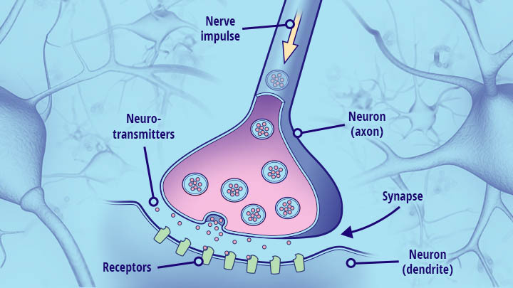 Q1 2020 Blog Learning Brain 2