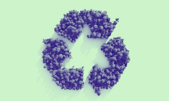 The recycle logo using trees